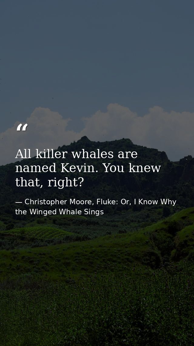 All killer whales are named Kevin. You knew that, right? — Christopher Moore, Fluke: Or, I Know Why the Winged Whale Sings