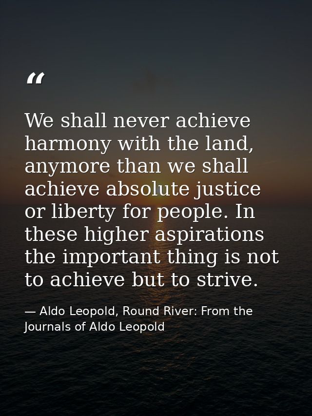 We shall never achieve harmony with the land, anymore than we shall achieve absolute justice or liberty for people. In t — Aldo Leopold, Round River: From the Journals of Aldo Leopold