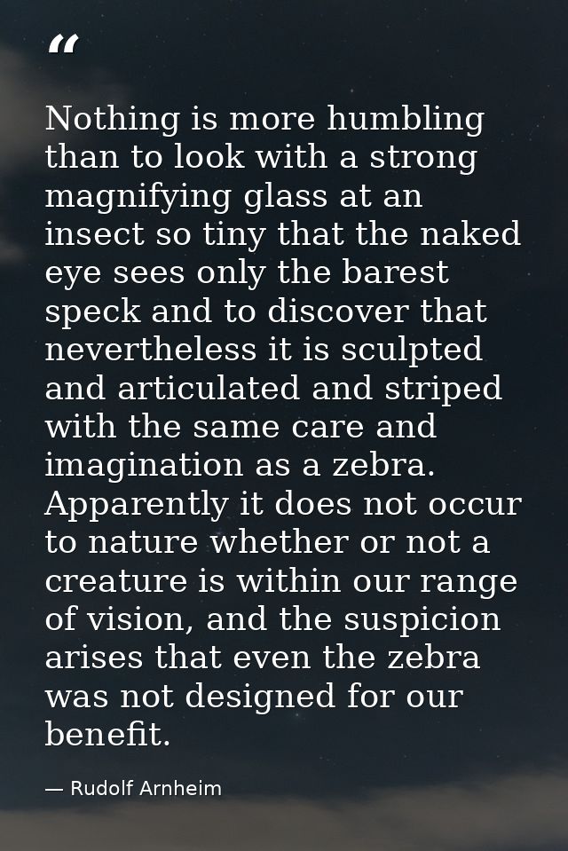 Nothing is more humbling than to look with a strong magnifying glass at an insect so tiny that the naked eye sees only t — Rudolf Arnheim