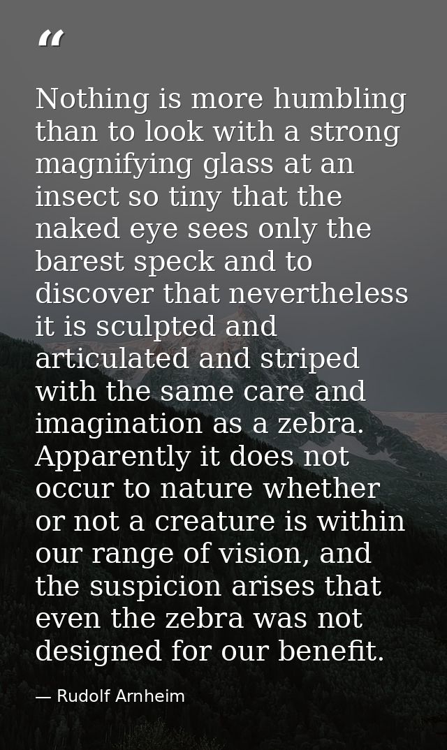 Nothing is more humbling than to look with a strong magnifying glass at an insect so tiny that the naked eye sees only t — Rudolf Arnheim