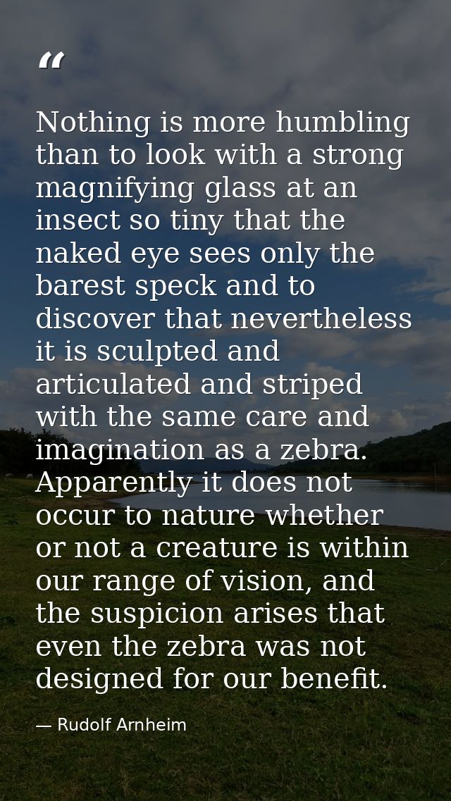 Nothing is more humbling than to look with a strong magnifying glass at an insect so tiny that the naked eye sees only t — Rudolf Arnheim