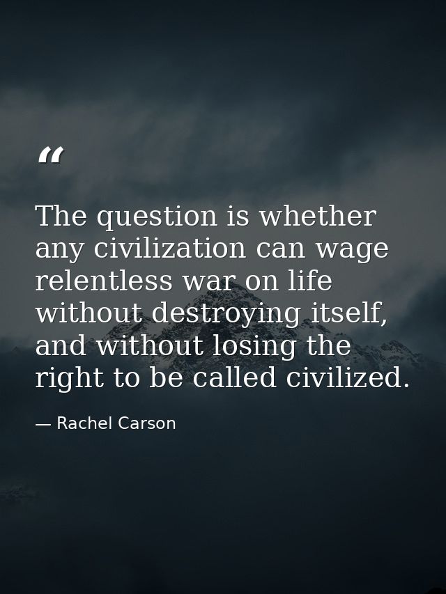 The question is whether any civilization can wage relentless war on life without destroying itself, and without losing t — Rachel Carson