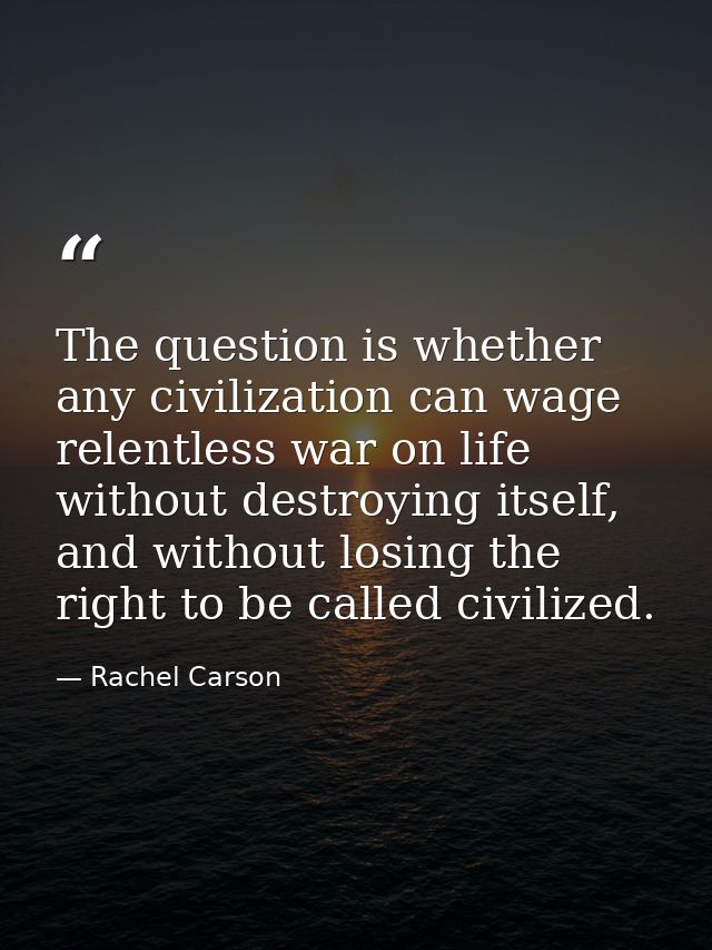 The question is whether any civilization can wage relentless war on life without destroying itself, and without losing t — Rachel Carson
