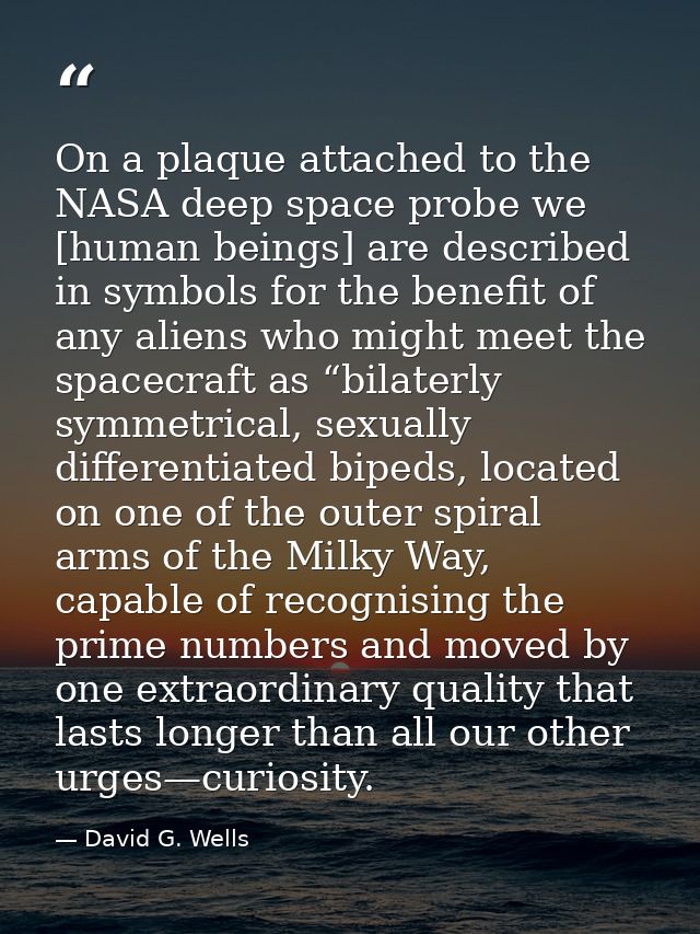 On a plaque attached to the NASA deep space probe we [human beings] are described in symbols for the benefit of any alie — David G. Wells