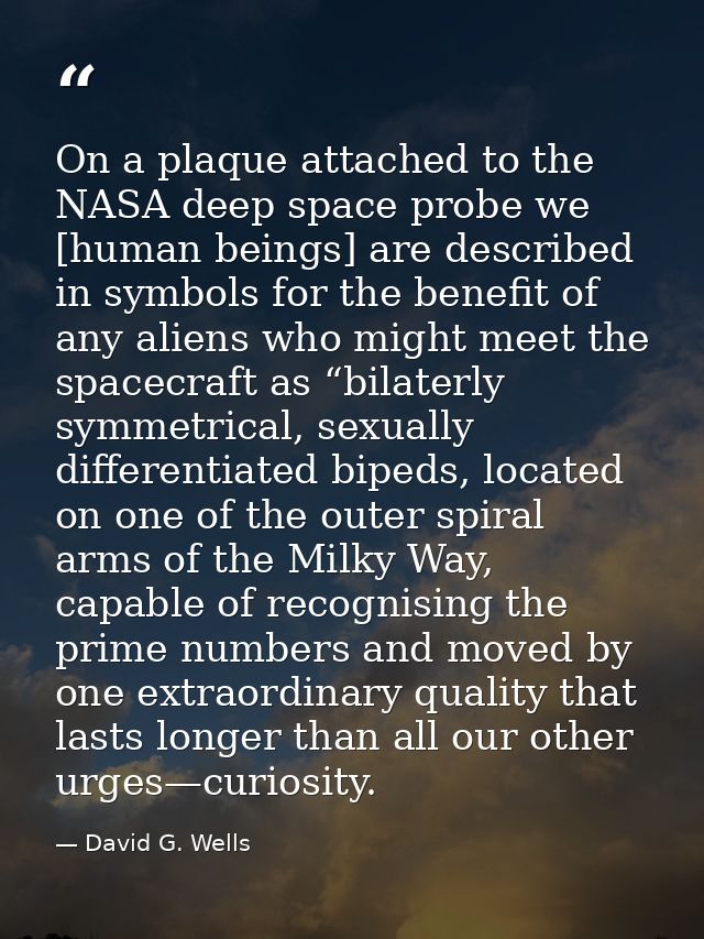 On a plaque attached to the NASA deep space probe we [human beings] are described in symbols for the benefit of any alie — David G. Wells