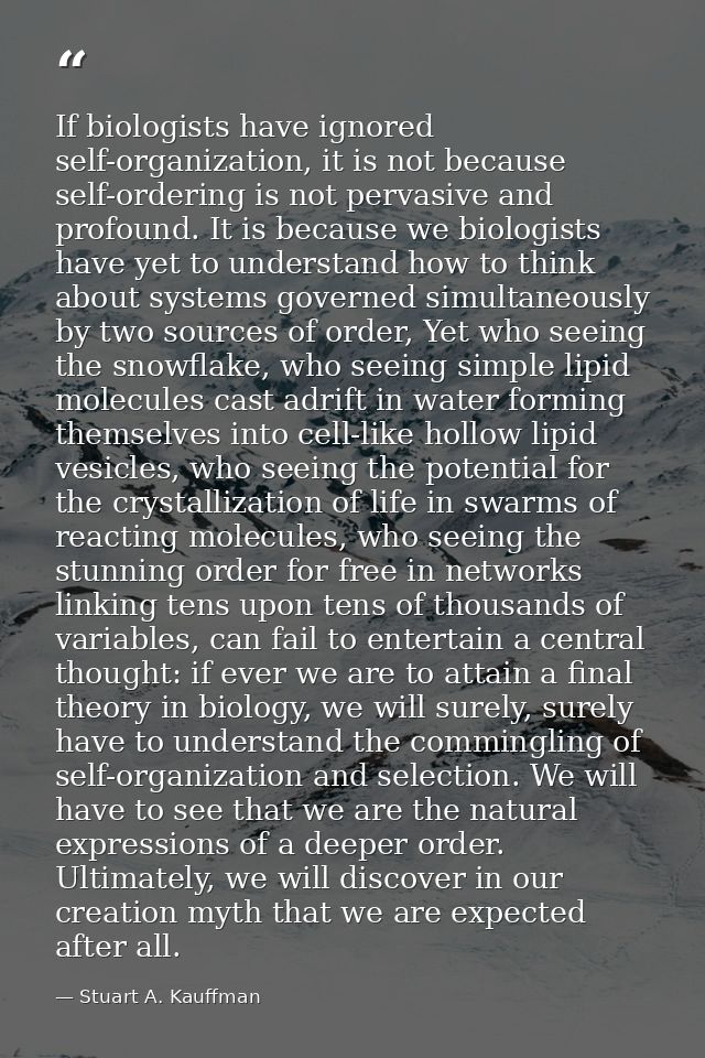 If biologists have ignored self-organization, it is not because self-ordering is not pervasive and profound. It is becau — Stuart A. Kauffman