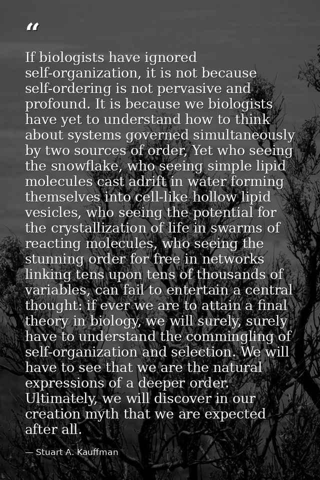 If biologists have ignored self-organization, it is not because self-ordering is not pervasive and profound. It is becau — Stuart A. Kauffman
