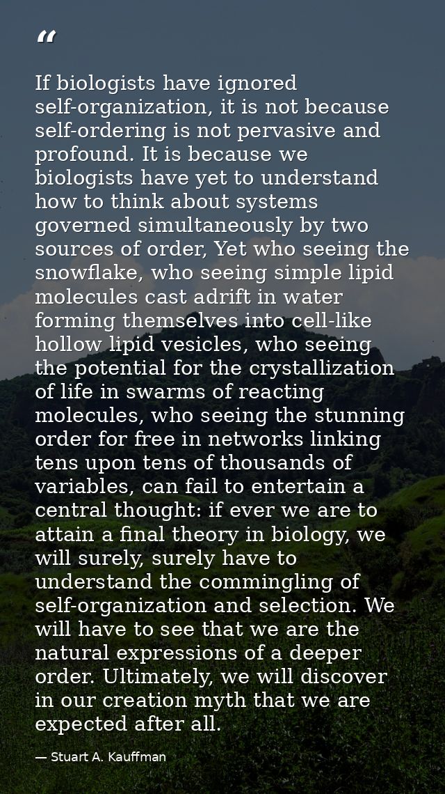 If biologists have ignored self-organization, it is not because self-ordering is not pervasive and profound. It is becau — Stuart A. Kauffman