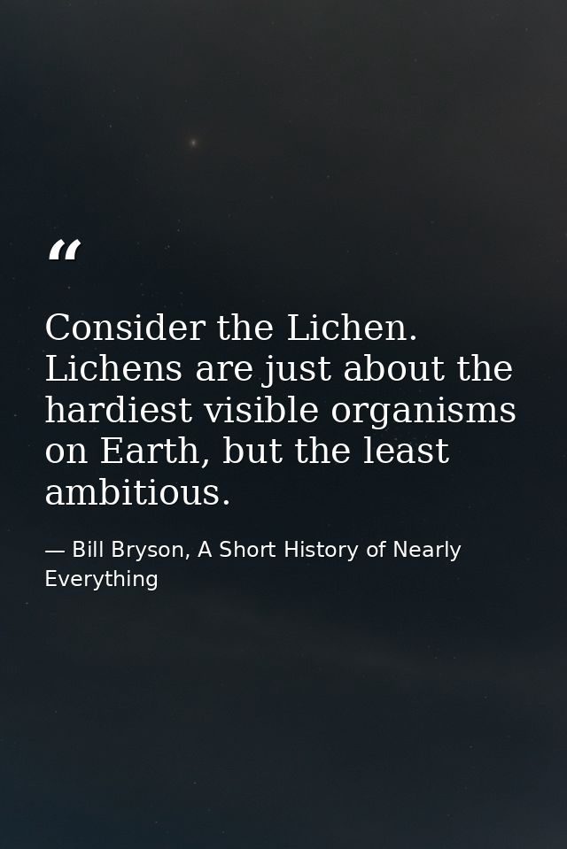 Consider the Lichen. Lichens are just about the hardiest visible organisms on Earth, but the least ambitious. — Bill Bryson, A Short History of Nearly Everything