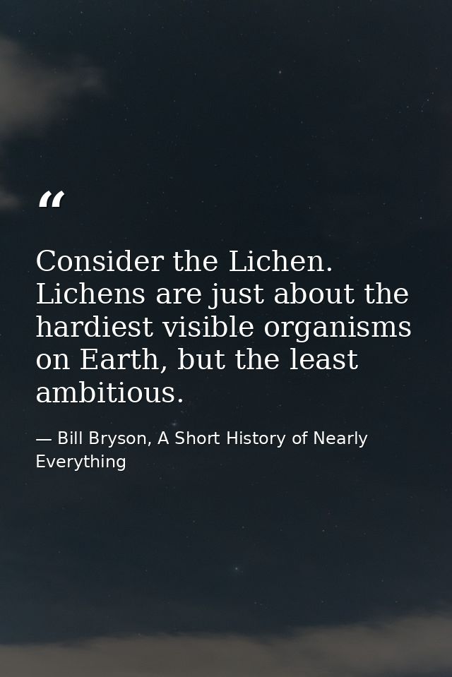 Consider the Lichen. Lichens are just about the hardiest visible organisms on Earth, but the least ambitious. — Bill Bryson, A Short History of Nearly Everything