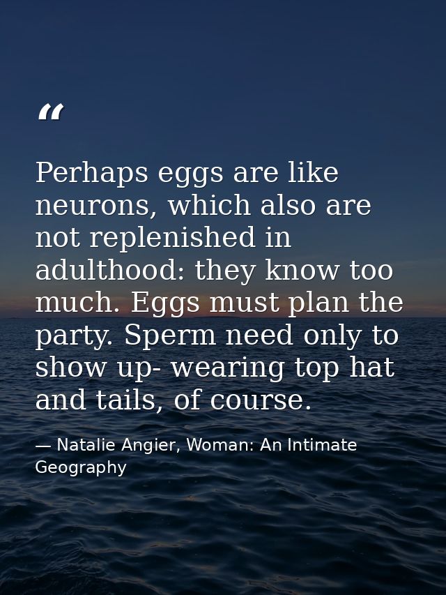 Perhaps eggs are like neurons, which also are not replenished in adulthood: they know too much. Eggs must plan the party — Natalie Angier, Woman: An Intimate Geography