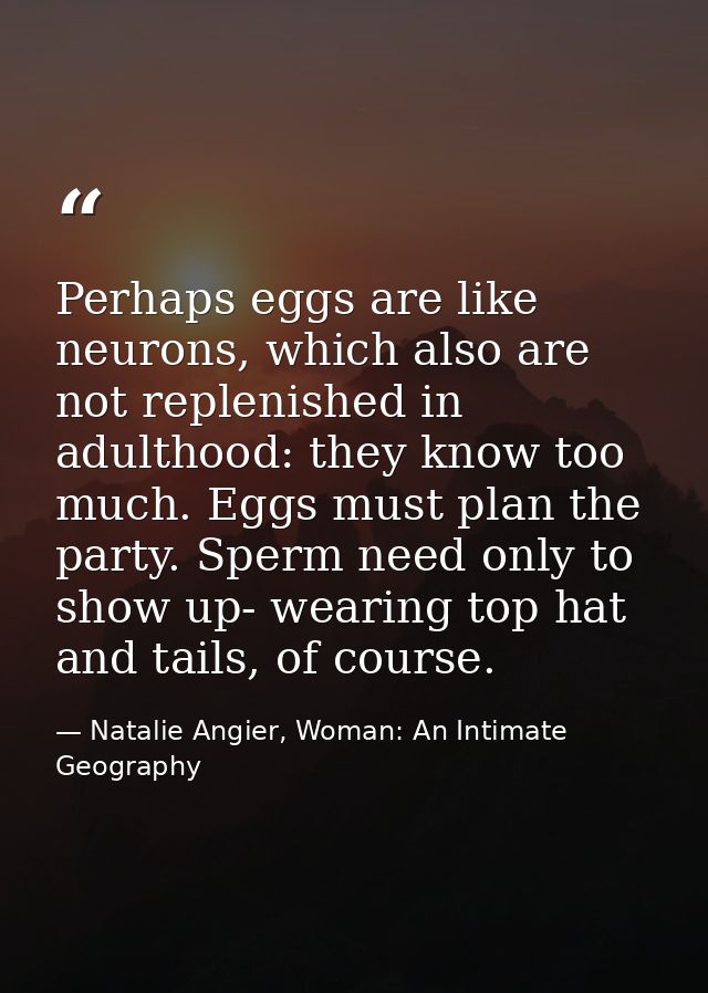 Perhaps eggs are like neurons, which also are not replenished in adulthood: they know too much. Eggs must plan the party — Natalie Angier, Woman: An Intimate Geography