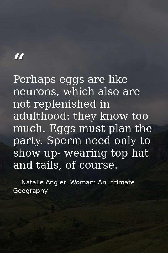 Perhaps eggs are like neurons, which also are not replenished in adulthood: they know too much. Eggs must plan the party — Natalie Angier, Woman: An Intimate Geography