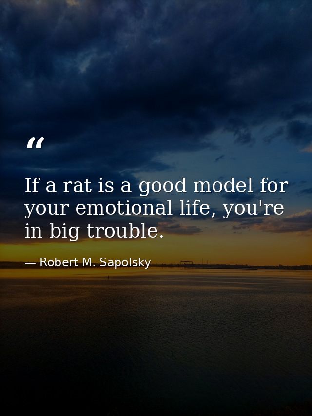 If a rat is a good model for your emotional life, you're in big trouble. — Robert M. Sapolsky
