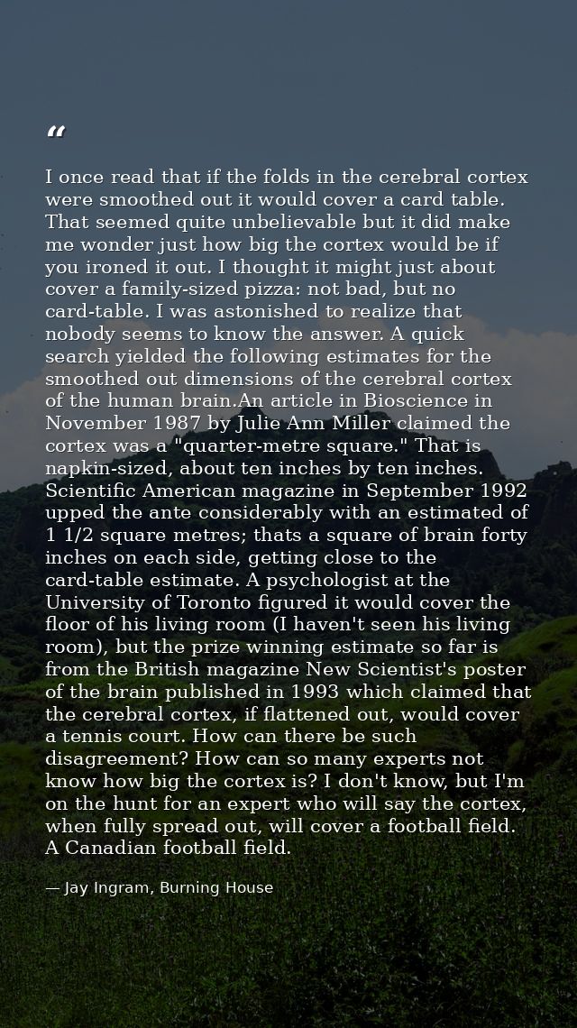 I once read that if the folds in the cerebral cortex were smoothed out it would cover a card table. That seemed quite un — Jay Ingram, Burning House