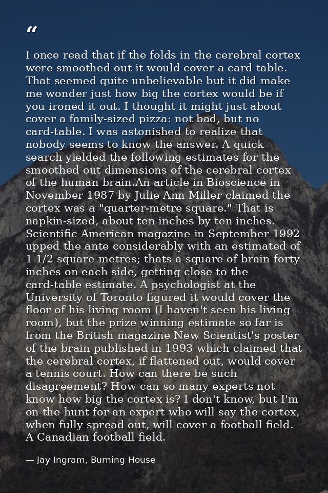 I once read that if the folds in the cerebral cortex were smoothed out it would cover a card table. That seemed quite un — Jay Ingram, Burning House