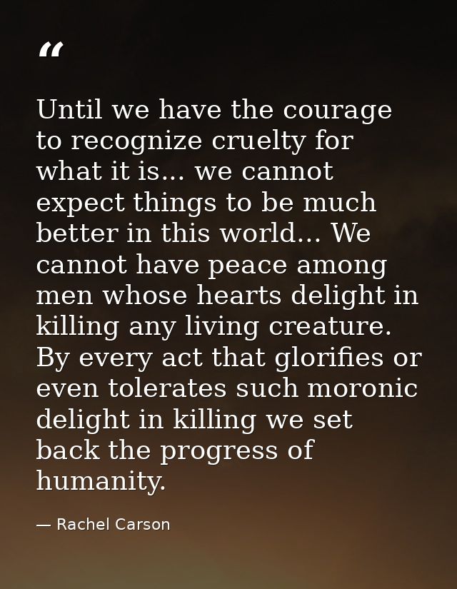 Until we have the courage to recognize cruelty for what it is... we cannot expect things to be much better in this world — Rachel Carson