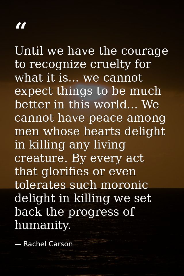 Until we have the courage to recognize cruelty for what it is... we cannot expect things to be much better in this world — Rachel Carson