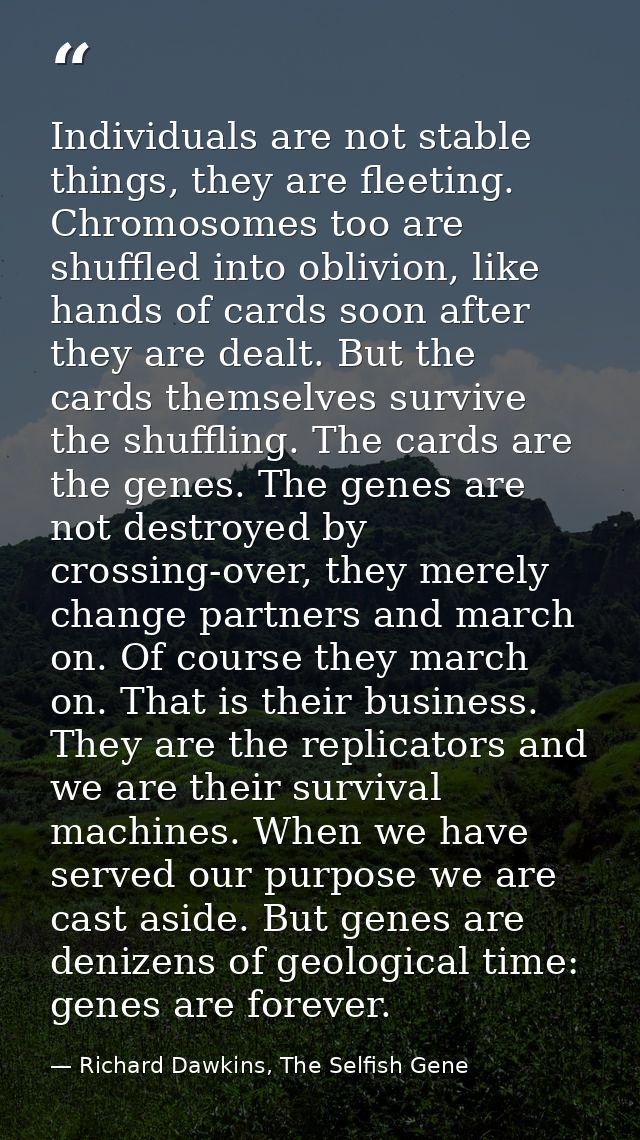 Individuals are not stable things, they are fleeting. Chromosomes too are shuffled into oblivion, like hands of cards so — Richard Dawkins, The Selfish Gene