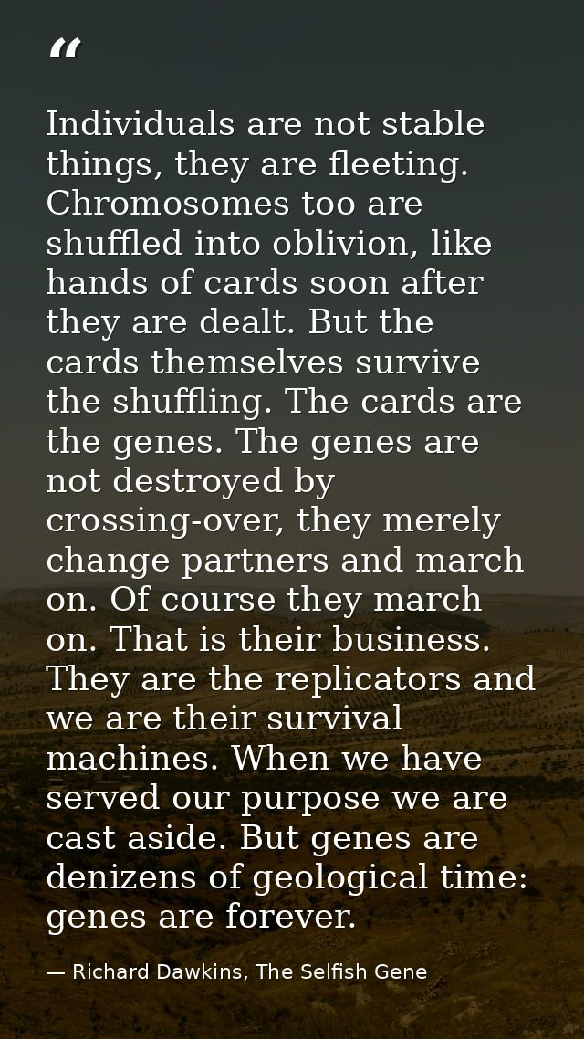 Individuals are not stable things, they are fleeting. Chromosomes too are shuffled into oblivion, like hands of cards so — Richard Dawkins, The Selfish Gene
