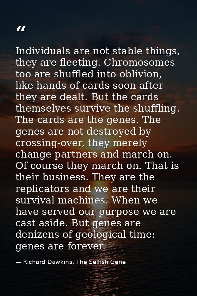 Individuals are not stable things, they are fleeting. Chromosomes too are shuffled into oblivion, like hands of cards so — Richard Dawkins, The Selfish Gene