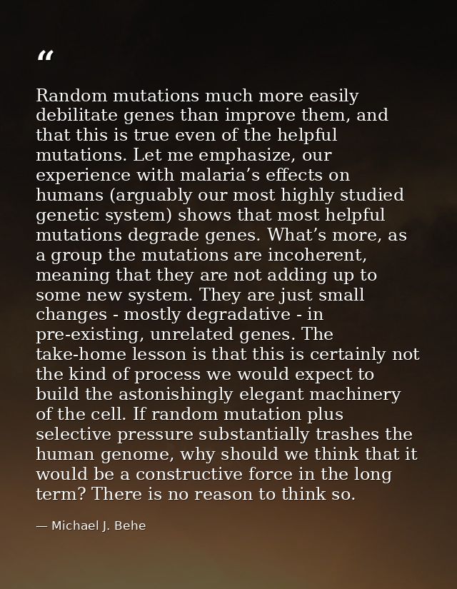 Random mutations much more easily debilitate genes than improve them, and that this is true even of the helpful mutation — Michael J. Behe