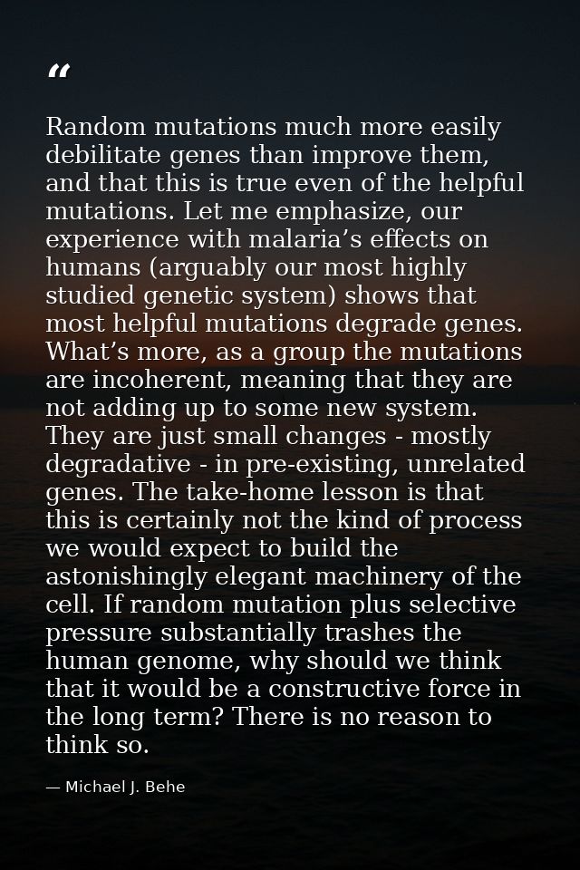 Random mutations much more easily debilitate genes than improve them, and that this is true even of the helpful mutation — Michael J. Behe