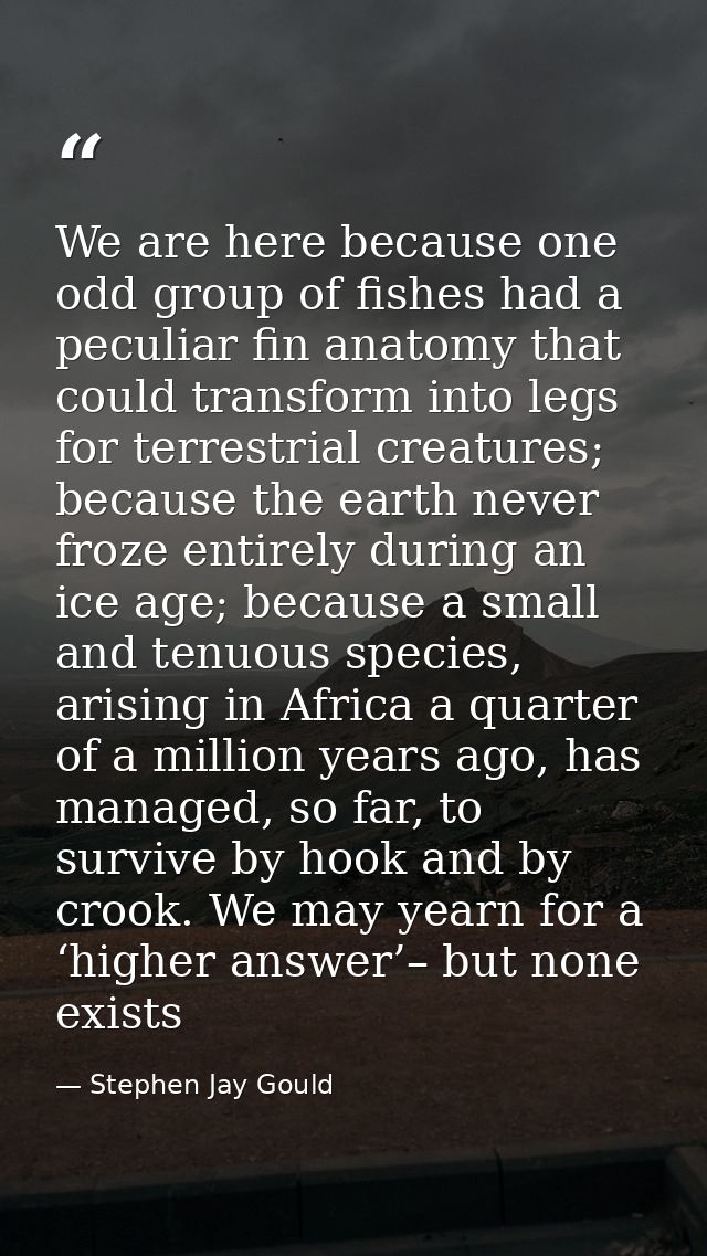 We are here because one odd group of fishes had a peculiar fin anatomy that could transform into legs for terrestrial cr — Stephen Jay Gould
