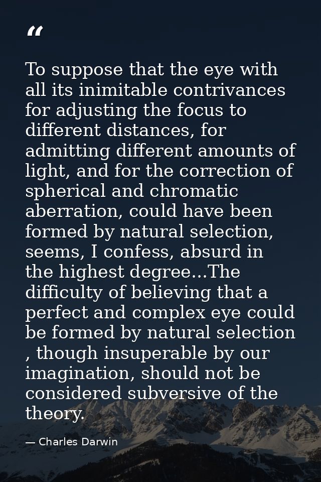 To suppose that the eye with all its inimitable contrivances for adjusting the focus to different distances, for admitti — Charles Darwin