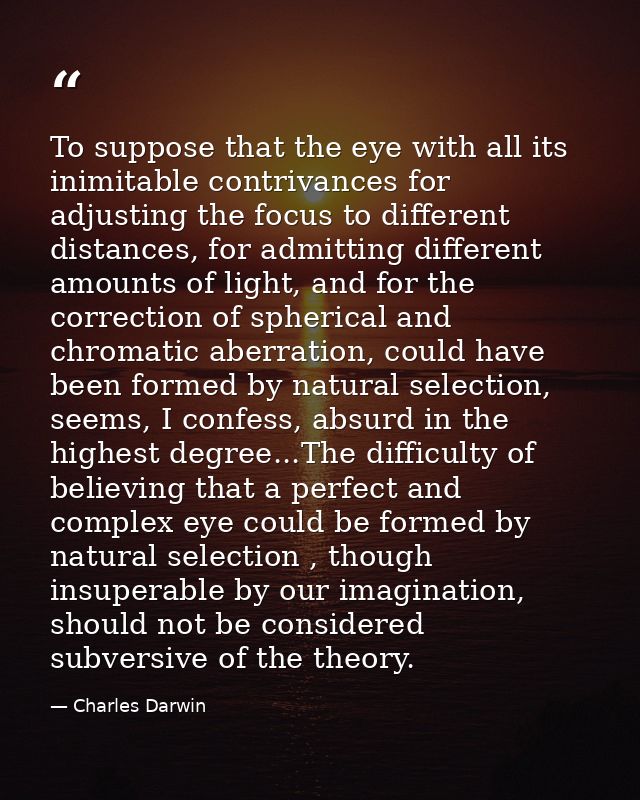 To suppose that the eye with all its inimitable contrivances for adjusting the focus to different distances, for admitti — Charles Darwin