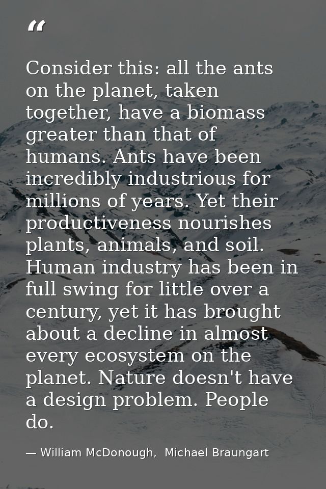 Consider this: all the ants on the planet, taken together, have a biomass greater than that of humans. Ants have been in — William McDonough,  Michael Braungart