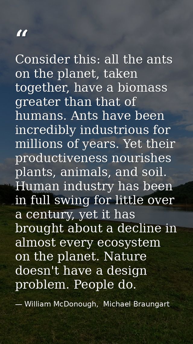 Consider this: all the ants on the planet, taken together, have a biomass greater than that of humans. Ants have been in — William McDonough,  Michael Braungart