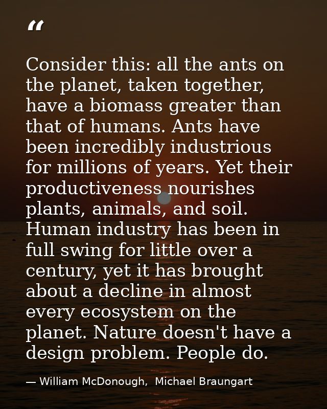 Consider this: all the ants on the planet, taken together, have a biomass greater than that of humans. Ants have been in — William McDonough,  Michael Braungart