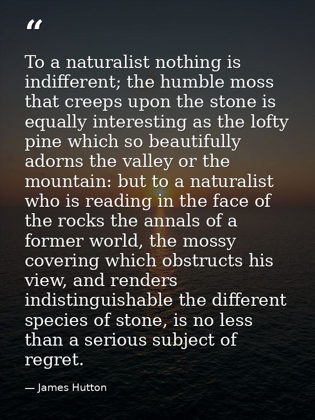 To a naturalist nothing is indifferent; the humble moss that creeps upon the stone is equally interesting as the lofty p — James Hutton