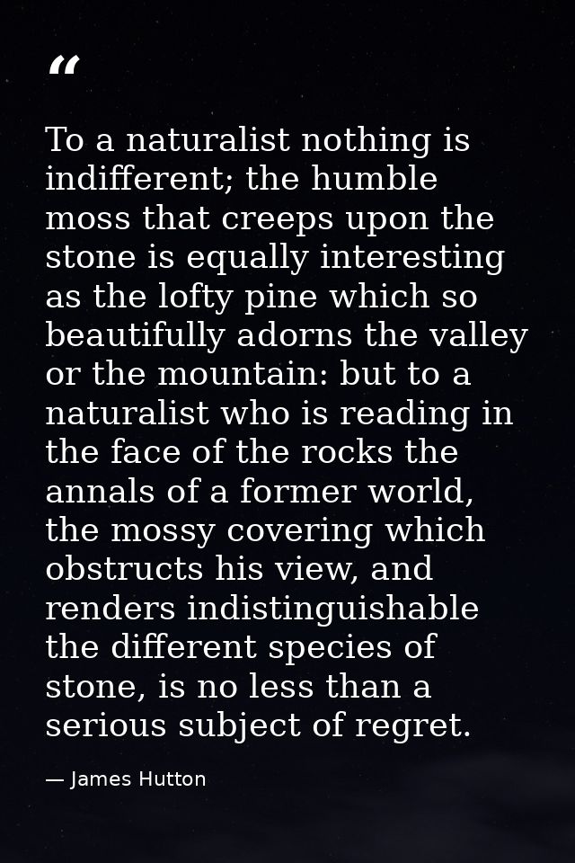 To a naturalist nothing is indifferent; the humble moss that creeps upon the stone is equally interesting as the lofty p — James Hutton