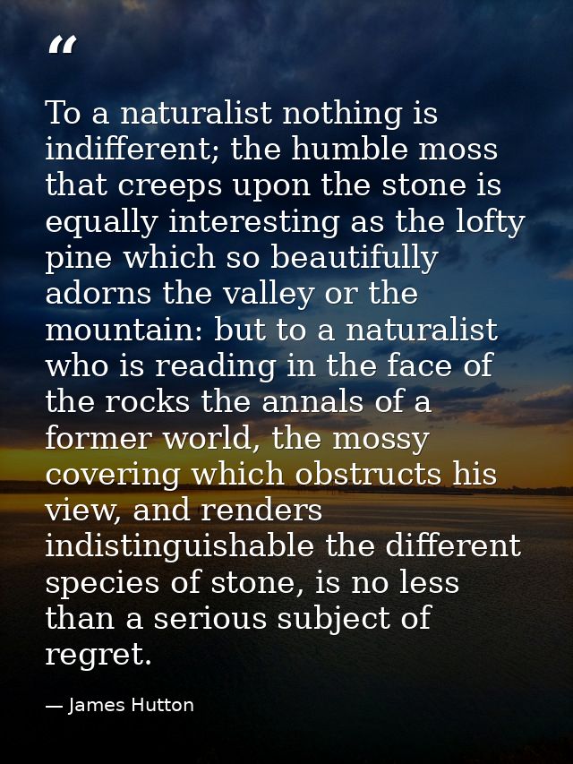 To a naturalist nothing is indifferent; the humble moss that creeps upon the stone is equally interesting as the lofty p — James Hutton
