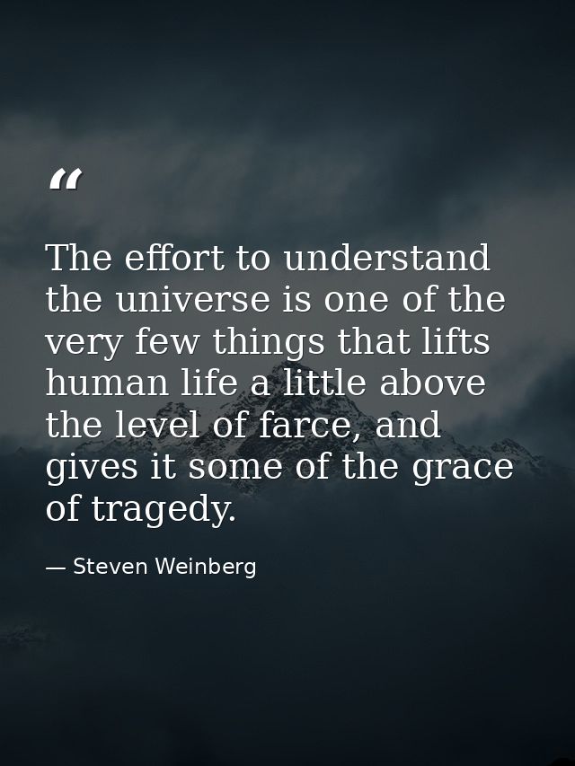 The effort to understand the universe is one of the very few things that lifts human life a little above the level of fa — Steven Weinberg