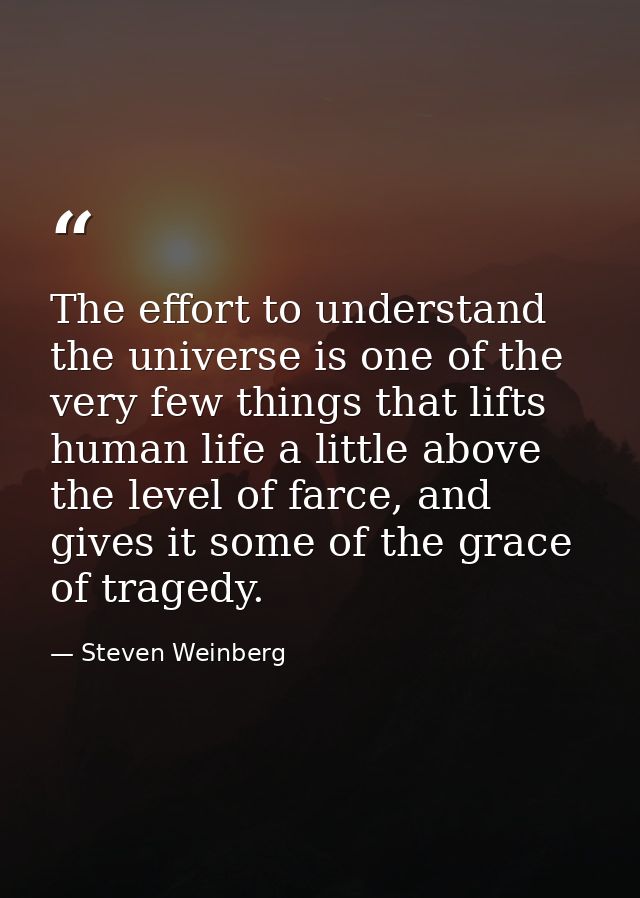 The effort to understand the universe is one of the very few things that lifts human life a little above the level of fa — Steven Weinberg