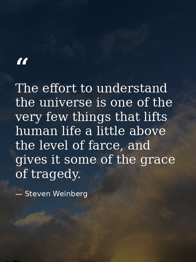 The effort to understand the universe is one of the very few things that lifts human life a little above the level of fa — Steven Weinberg