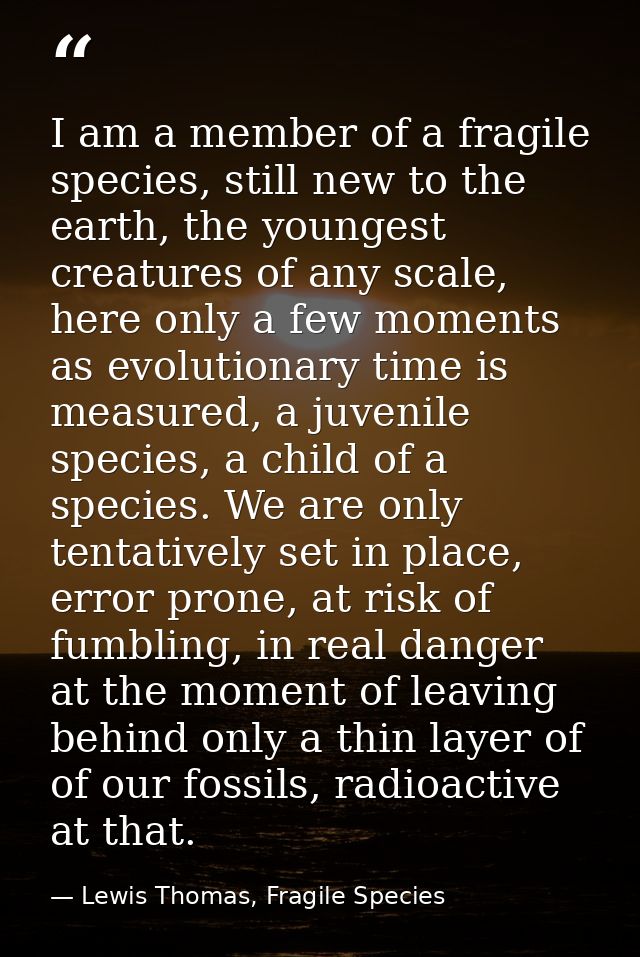 I am a member of a fragile species, still new to the earth, the youngest creatures of any scale, here only a few moments — Lewis Thomas, Fragile Species