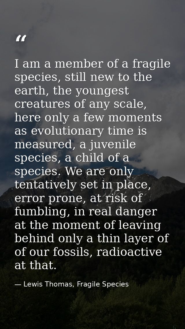 I am a member of a fragile species, still new to the earth, the youngest creatures of any scale, here only a few moments — Lewis Thomas, Fragile Species