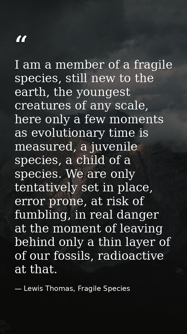 I am a member of a fragile species, still new to the earth, the youngest creatures of any scale, here only a few moments — Lewis Thomas, Fragile Species