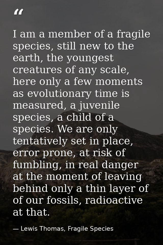 I am a member of a fragile species, still new to the earth, the youngest creatures of any scale, here only a few moments — Lewis Thomas, Fragile Species