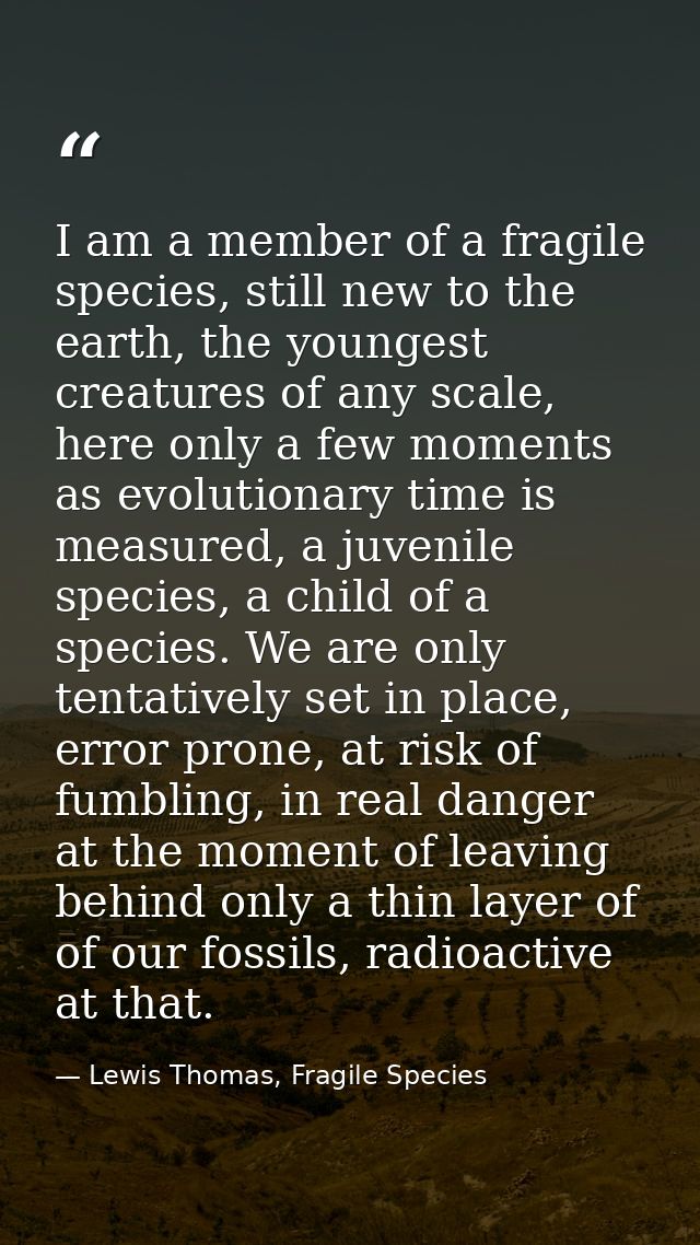 I am a member of a fragile species, still new to the earth, the youngest creatures of any scale, here only a few moments — Lewis Thomas, Fragile Species
