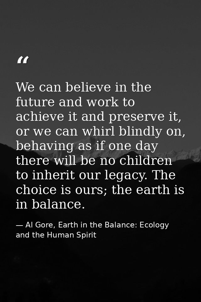 We can believe in the future and work to achieve it and preserve it, or we can whirl blindly on, behaving as if one day  — Al Gore, Earth in the Balance: Ecology and the Human Spirit