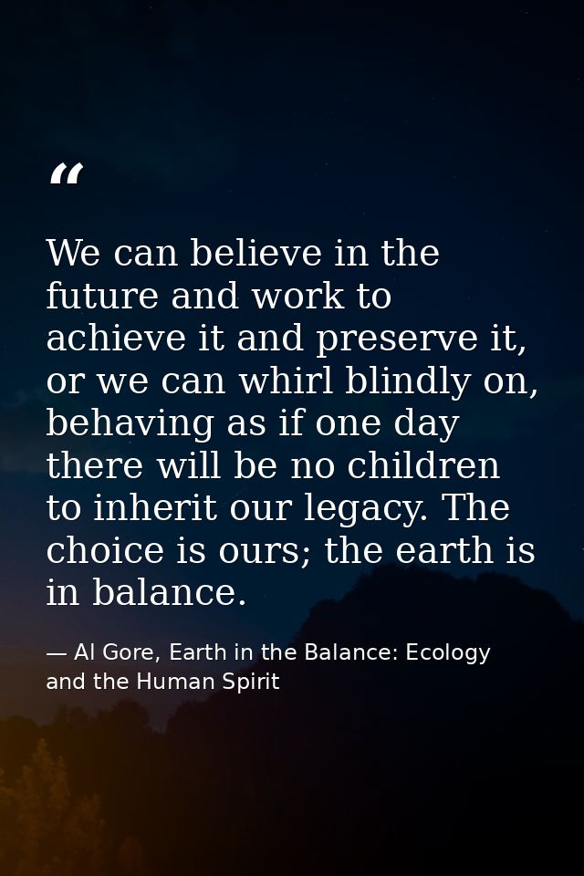 We can believe in the future and work to achieve it and preserve it, or we can whirl blindly on, behaving as if one day  — Al Gore, Earth in the Balance: Ecology and the Human Spirit