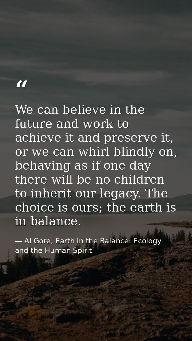 We can believe in the future and work to achieve it and preserve it, or we can whirl blindly on, behaving as if one day  — Al Gore, Earth in the Balance: Ecology and the Human Spirit