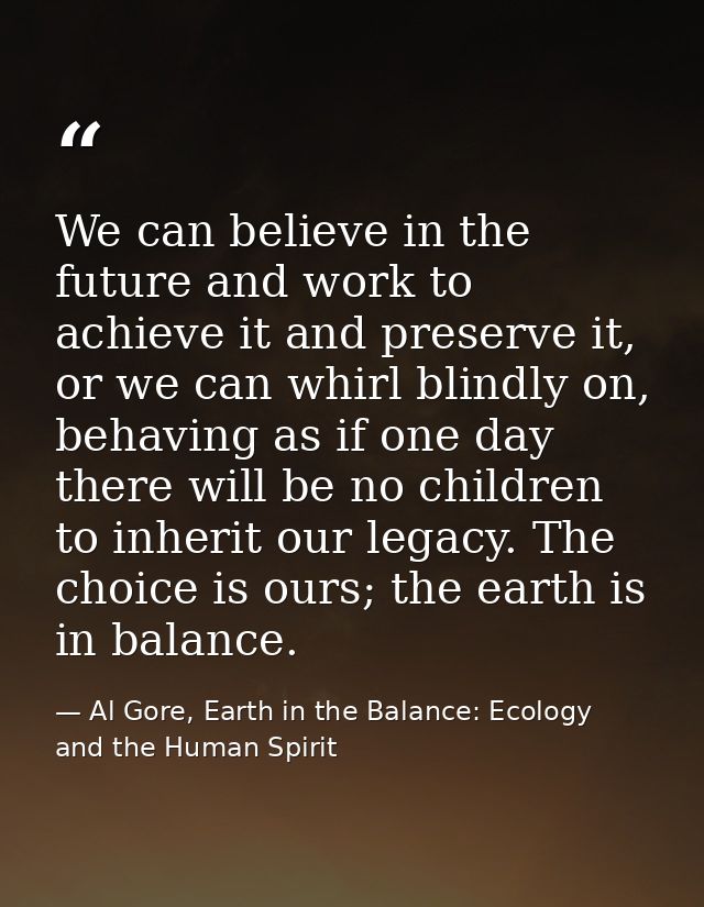 We can believe in the future and work to achieve it and preserve it, or we can whirl blindly on, behaving as if one day  — Al Gore, Earth in the Balance: Ecology and the Human Spirit