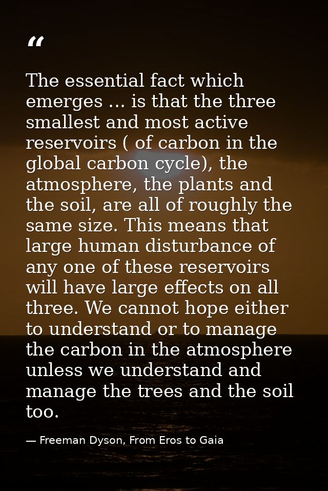 The essential fact which emerges ... is that the three smallest and most active reservoirs ( of carbon in the global car — Freeman Dyson, From Eros to Gaia