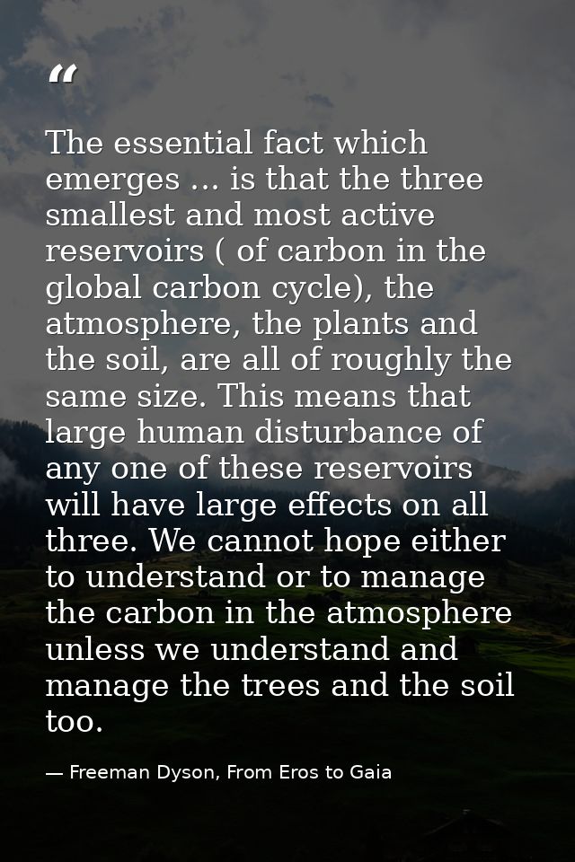 The essential fact which emerges ... is that the three smallest and most active reservoirs ( of carbon in the global car — Freeman Dyson, From Eros to Gaia